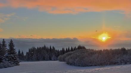 Inspiration Ridge - Homer Alaska Live Webcam - Jan 14, 2026, 10:11am AKST