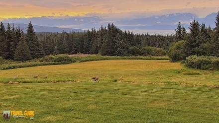 Inspiration Ridge - Homer Alaska Live Webcam - Aug 19, 2026, 7:30am AKDT