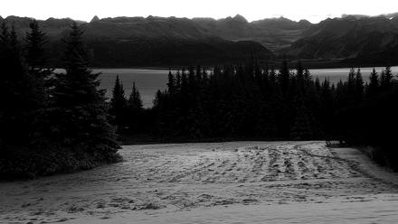 Inspiration Ridge - Homer Alaska Live Webcam - Nov 24, 2025, 8:30am AKST