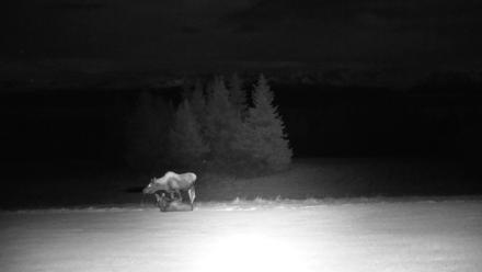 Inspiration Ridge - Homer Alaska Live Webcam - Nov 1, 2025, 4:27am AKDT