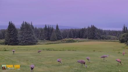 Inspiration Ridge - Homer Alaska Live Webcam - Aug 24, 2026, 4:52pm AKDT