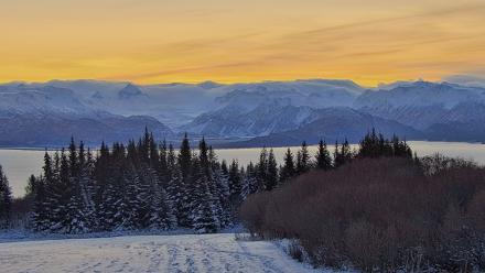 Inspiration Ridge - Homer Alaska Live Webcam - Nov 25, 2025, 8:58am AKST