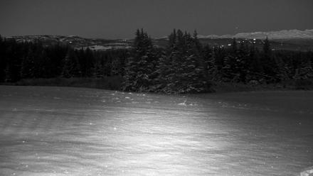 Inspiration Ridge - Homer Alaska Live Webcam - Nov 24, 2025, 5:38pm AKST