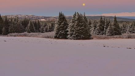 Inspiration Ridge - Homer Alaska Live Webcam - Nov 5, 2025, 7:04pm AKST