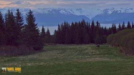 Inspiration Ridge - Homer Alaska Live Webcam - Jun 9, 2026, 4:03am AKDT