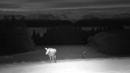 Inspiration Ridge - Homer Alaska Live Webcam - Dec 2, 2025, 6:31pm AKST