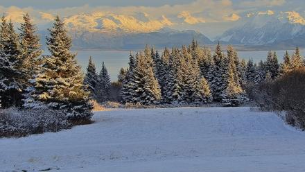 Inspiration Ridge - Homer Alaska Live Webcam - Nov 5, 2025, 3:49pm AKST