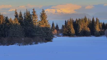 Inspiration Ridge - Homer Alaska Live Webcam - Feb 15, 2026, 5:24pm AKST