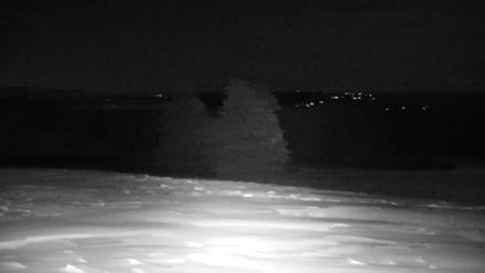 Inspiration Ridge - Homer Alaska Live Webcam - Dec 27, 2025, 10:13pm AKST