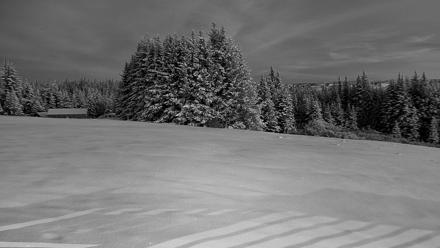 Inspiration Ridge - Homer Alaska Live Webcam - Nov 22, 2025, 8:26am AKST