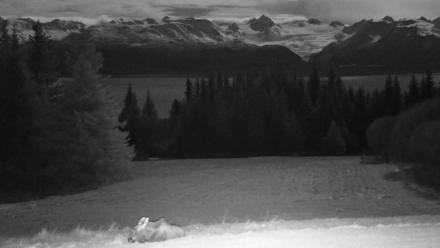 Inspiration Ridge - Homer Alaska Live Webcam - Nov 3, 2025, 9:20pm AKST