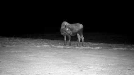 Inspiration Ridge - Homer Alaska Live Webcam - Dec 8, 2025, 7:07pm AKST