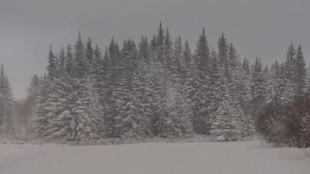 Inspiration Ridge - Homer Alaska Live Webcam - Jan 10, 2026, 4:20pm AKST