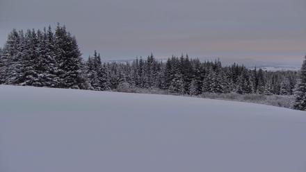 Inspiration Ridge - Homer Alaska Live Webcam - Jan 14, 2026, 4:13pm AKST