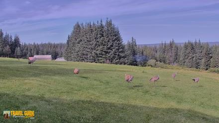 Inspiration Ridge - Homer Alaska Live Webcam - Sep 1, 2026, 4:25pm AKDT