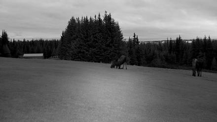 Inspiration Ridge - Homer Alaska Live Webcam - Nov 2, 2025, 9:05am AKST