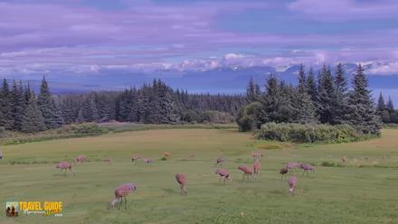 Inspiration Ridge - Homer Alaska Live Webcam - Aug 23, 2026, 9:20pm AKDT