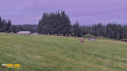 Inspiration Ridge - Homer Alaska Live Webcam - Aug 24, 2026, 4:50pm AKDT