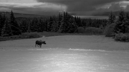 Inspiration Ridge - Homer Alaska Live Webcam - Nov 4, 2025, 6:01pm AKST