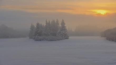 Inspiration Ridge - Homer Alaska Live Webcam - Feb 12, 2026, 9:18am AKST
