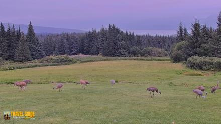 Inspiration Ridge - Homer Alaska Live Webcam - Aug 24, 2026, 4:48pm AKDT