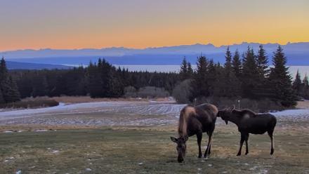 Inspiration Ridge - Homer Alaska Live Webcam - Dec 11, 2025, 2:57pm AKST