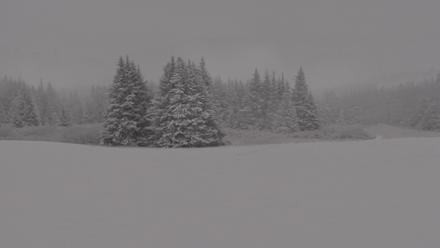 Inspiration Ridge - Homer Alaska Live Webcam - Nov 21, 2025, 2:55pm AKST