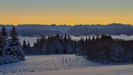Inspiration Ridge - Homer Alaska Live Webcam - Nov 23, 2025, 8:47am AKST