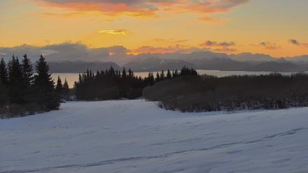 Inspiration Ridge - Homer Alaska Live Webcam - Feb 15, 2026, 8:54am AKST