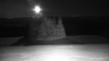 Inspiration Ridge - Homer Alaska Live Webcam - Jan 8, 2026, 12:14am AKST