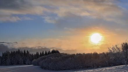 Inspiration Ridge - Homer Alaska Live Webcam - Jan 14, 2026, 10:46am AKST