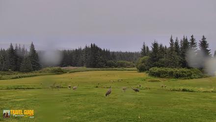 Inspiration Ridge - Homer Alaska Live Webcam - Aug 22, 2026, 8:15am AKDT