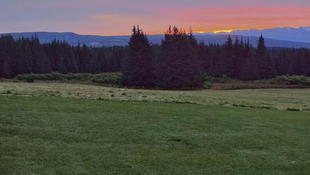 Inspiration Ridge - Homer Alaska Live Webcam - Aug 30, 2025, 6:24am AKDT
