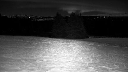 Inspiration Ridge - Homer Alaska Live Webcam - Dec 31, 2025, 11:30pm AKST