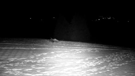 Inspiration Ridge - Homer Alaska Live Webcam - Nov 17, 2025, 9:03pm AKST