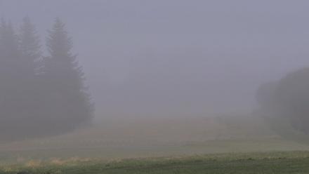 Inspiration Ridge - Homer Alaska Live Webcam - Oct 23, 2025, 12:32pm AKDT