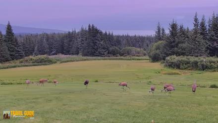 Inspiration Ridge - Homer Alaska Live Webcam - Aug 24, 2026, 4:57pm AKDT