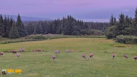 Inspiration Ridge - Homer Alaska Live Webcam - Aug 24, 2026, 5:03pm AKDT