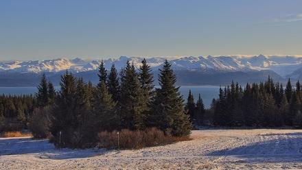 Inspiration Ridge - Homer Alaska Live Webcam - Nov 13, 2025, 11:28am AKST