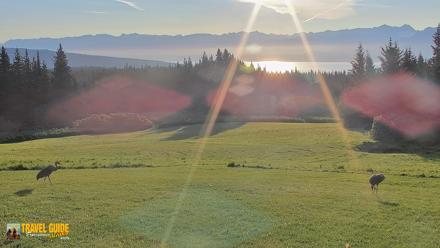 Inspiration Ridge - Homer Alaska Live Webcam - Aug 27, 2026, 7:57am AKDT