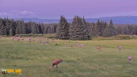 Inspiration Ridge - Homer Alaska Live Webcam - Aug 27, 2026, 5:57pm AKDT