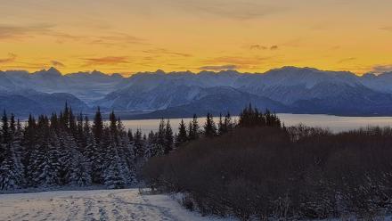 Inspiration Ridge - Homer Alaska Live Webcam - Nov 24, 2025, 8:50am AKST