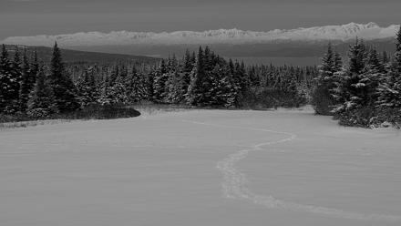 Inspiration Ridge - Homer Alaska Live Webcam - Feb 13, 2026, 6:17pm AKST