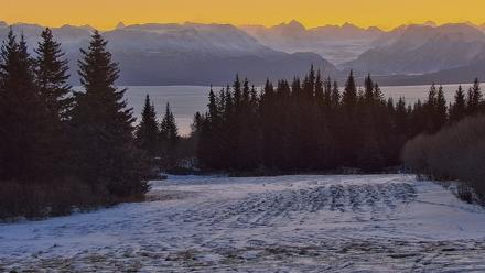 Inspiration Ridge - Homer Alaska Live Webcam - Dec 31, 2025, 10:55am AKST