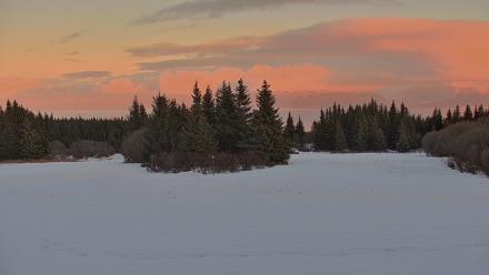 Inspiration Ridge - Homer Alaska Live Webcam - Feb 14, 2026, 5:46pm AKST