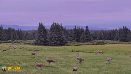 Inspiration Ridge - Homer Alaska Live Webcam - Aug 24, 2026, 5:10pm AKDT