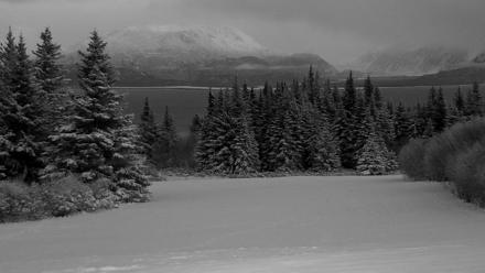 Inspiration Ridge - Homer Alaska Live Webcam - Jan 13, 2026, 9:09pm AKST
