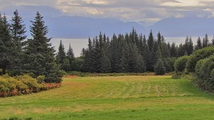 Inspiration Ridge - Homer Alaska Live Webcam - Sep 13, 2025, 11:57am AKDT