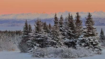 Inspiration Ridge - Homer Alaska Live Webcam - Nov 23, 2025, 4:41pm AKST