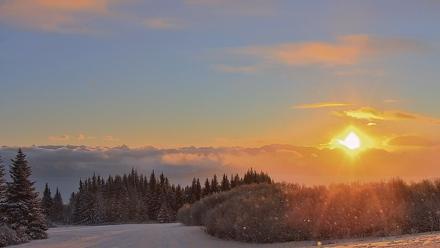 Inspiration Ridge - Homer Alaska Live Webcam - Jan 14, 2026, 10:21am AKST